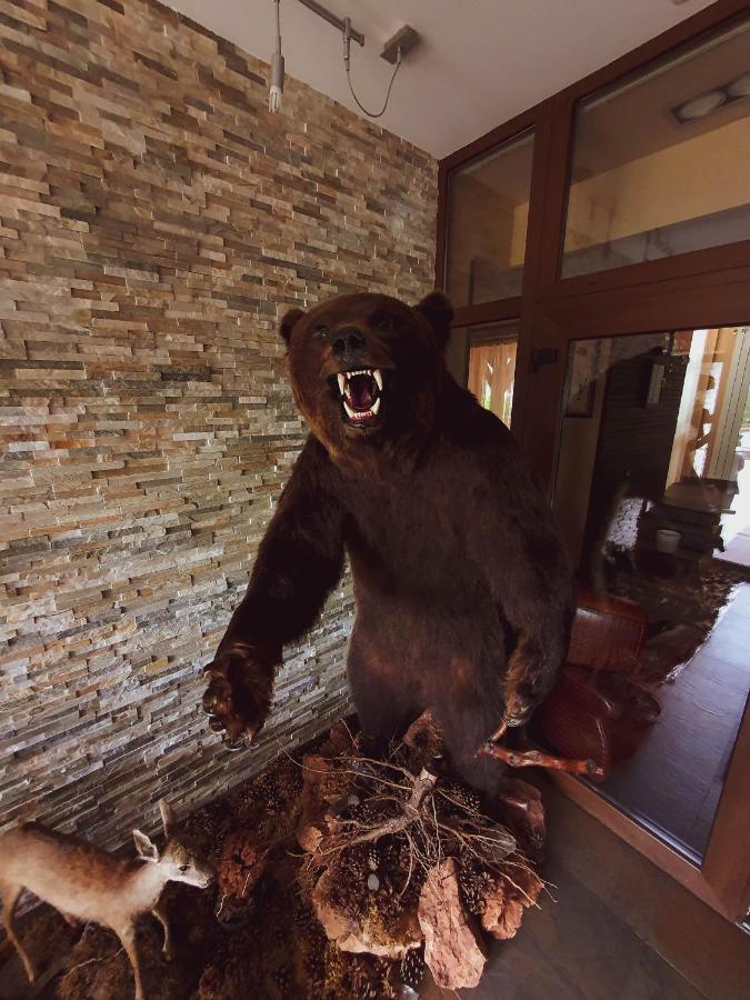 Hotel Belvedere Sovata Zewnętrze zdjęcie