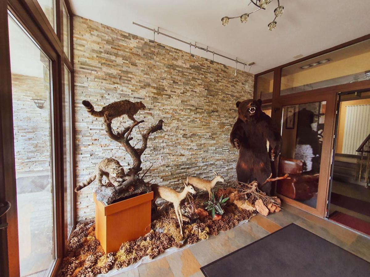 Hotel Belvedere Sovata Zewnętrze zdjęcie